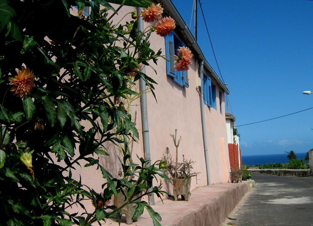 Casa Coronela Villa Гарачико Екстериор снимка